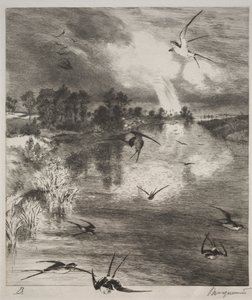 ツバメ、1882年。 作： Felix Bracquemond