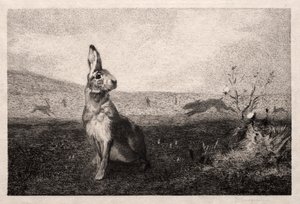 A. de Balleroy後のノウサギ、1865年。 作： Felix Bracquemond