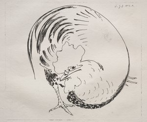 高火力のサービス: おんどり (カウンタープルーフ) 作： Felix Bracquemond