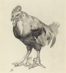 古いコック 作： Felix Bracquemond