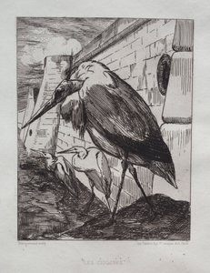 コウノトリ、1865。 作： Felix Bracquemond