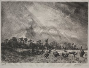 嵐の雲、1878年から1887年。 作： Felix Bracquemond