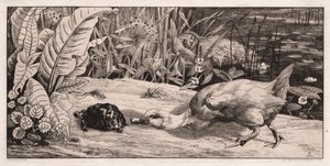 未知なるもの 作： Felix Bracquemond