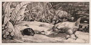 不明、1862年。 作： Felix Bracquemond