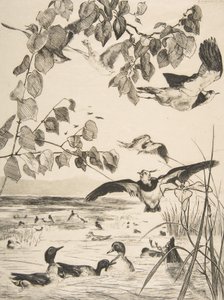 ラップウィングとサルセル、1862年。 作： Felix Bracquemond