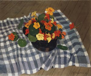 キンレンカのボウル 作： Felix Edouard Vallotton