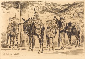 南部からのロバのシーツ、1873年。