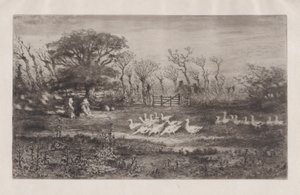 ガチョウ、1860-98。 作： Felix Hilaire Buhot