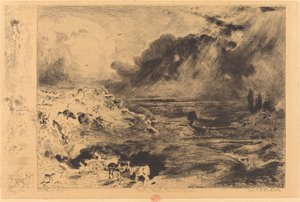 ロラージュ・ザ・ストーム、1879年。