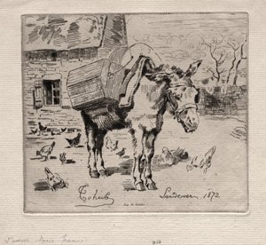 ミュール、マリージャンヌ、1872年。 作： Felix Hilaire Buhot