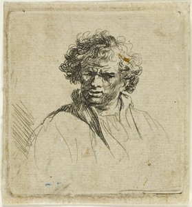 しかめっ面の巻き毛の男 作： Ferdinand Bol