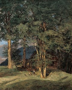 イシュル近くのカエデの木 作： Ferdinand Georg Waldmuller