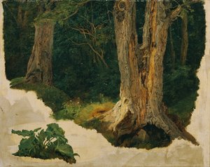 木の研究 作： Ferdinand Georg Waldmuller