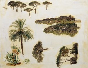 ローマの木の研究 作： Ferdinand Georg Waldmuller
