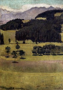 風景、ストックホーンのオークス、1898 作： Ferdinand Hodler