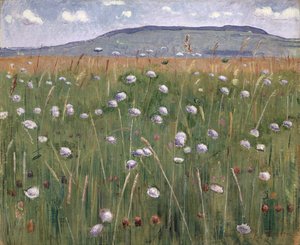 メドウピース、1901年 作： Ferdinand Hodler