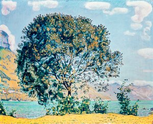 不明な画像 作： Ferdinand Hodler