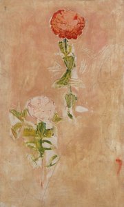 Cynia、研究 作： Ferdinand Hodler