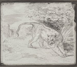 閉じ込められた虎、1854年。 作： Ferdinand Victor Eugene Delacroix