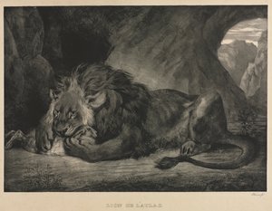 ライオンデラトラス、1829年。 作： Ferdinand Victor Eugene Delacroix