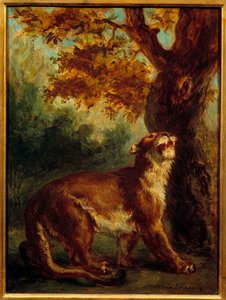 クーガーは獅子が獲物を見張っているとも言う。ウジェーヌ・ドラクロワ（1798-1863）による絵画