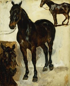 馬の3つの研究;馬に関する3つの研究、1823年 作： Ferdinand Victor Eugene Delacroix