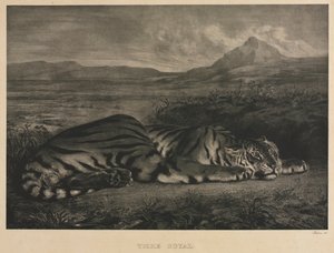 ロイヤルタイガー、1829年。 作： Ferdinand Victor Eugene Delacroix
