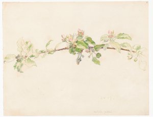 花咲くリンゴの木の枝 作： フェルディナンド・ルシュチク