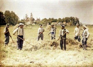 フランス陸軍第143歩兵師団の8人のメンバーが干し草、ソワソン、エーヌ、フランス、1917年（オートクローム）を作っています。