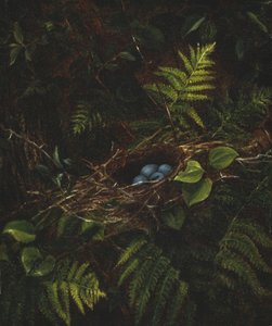 鳥の巣とシダ、1863 作： Fidelia Bridges