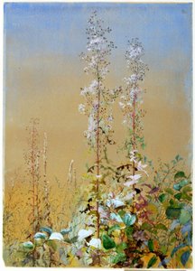 無題 作： Fidelia Bridges