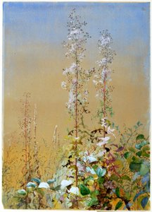 無題、約。 1876年。 作： Fidelia Bridges