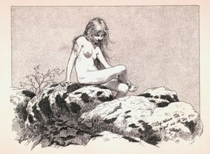 小動物と言う（...）