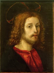 キリストの頭 作： Filippino Lippi