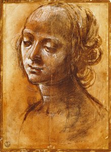 女性像（フィリッピーノ・リッピ（1457-1504年頃）作）、デッサン 作： Filippino Lippi