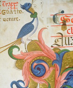 Missal 515 f.28v歴史的なイニシャルの角に人間の頭が立っている幻想的な鳥、1449ヴェラムの詳細の前に実行された合唱団の本の詳細56724 作： Filippo di Matteo Torelli