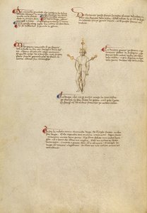 ボディの狙いを定める 作： Fiore Furlan dei Liberi da Premariacco