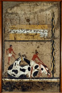 エジプトの古代性：石棺の前で生け贄にされる雄牛。ルクソール近郊のエル・ゲベレンにあるイティ王の将軍兼宰相の墓から出土した粘土と藁を使ったデトレンペ。紀元前2200-2000年。トリノ、エジプト博物館 作： First Intermediate Period Egyptian