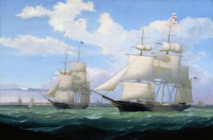  作： フィッツ・ヘンリー・レーン