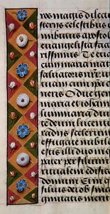 Ms.1058-1975, f.16r: 1500年頃の時祷書に描かれた花の縁飾りの詳細（ヴェラム製 作： Flemish School