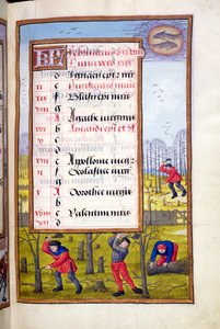 Ms 1058-1975 f2r木を切ることと束縛のたばこ 作： Flemish School