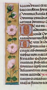 Ms. 1058-1975、f.34v：Book of Hours、c.1500からの花のボーダーの詳細 作： Flemish School