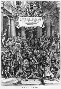 1555年にバーゼルで出版された、De Humani Corporis Fabricaの前作であるブリュッセルの医学部でのAndreas Vesalius（1514-64）の解剖学レッスン（466697も参照） 作： Flemish School