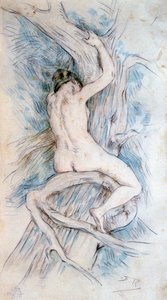 「ハマドリエイド」、c1850-1898。