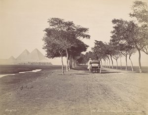 カイロ。 ピラミッドの路地、カリフォルニア州。 1870年。 作： Félix Bonfils
