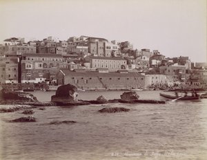 ヤッファのパノラマ、カリフォルニア州。 1880年。 作： Félix Bonfils