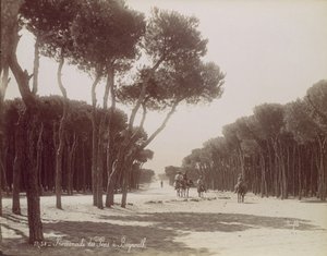 カリフォルニア州ベイルートのプロムナード デ パン。 1870年。 作： Félix Bonfils
