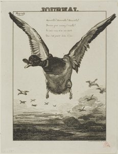 ザ・ダック 作： Félix Henri Bracquemond