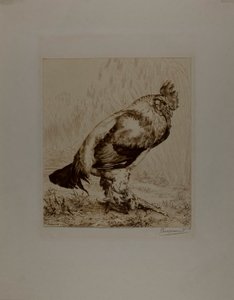 オールド・コック 作： Félix Henri Bracquemond