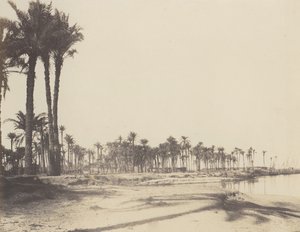 El-Nâcerah、Dattiers、Rives du Nil et Barques、1851-52 年、1853-54 年に印刷。 作： Félix Teynard